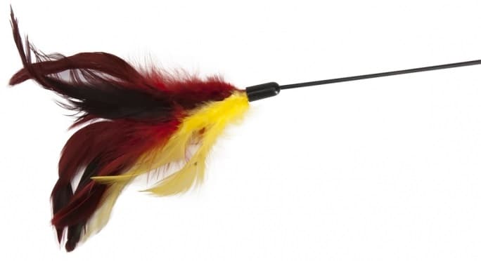 Camon Play Rod with Colorful Feathers 